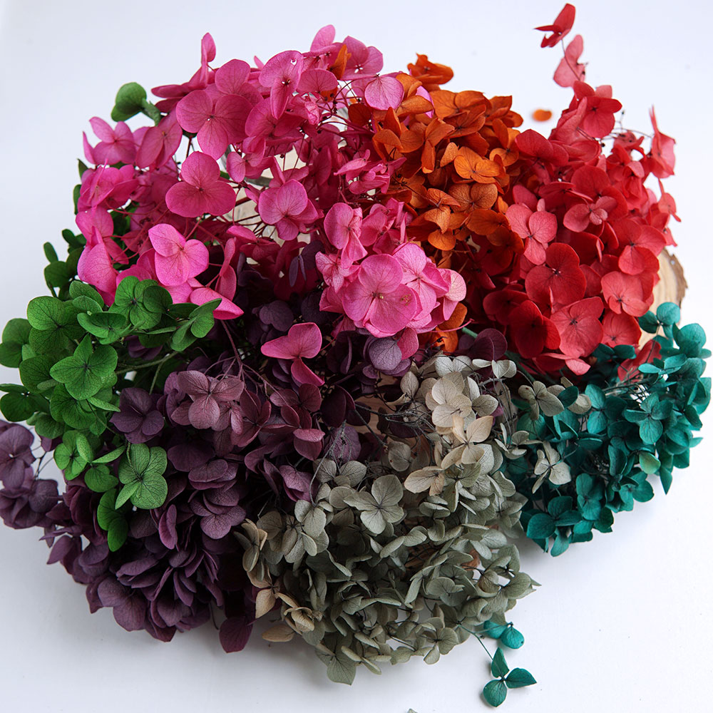 Wedding Supply In Bulk - Сухоцветы гортензии оптом, цветные, для свадебных