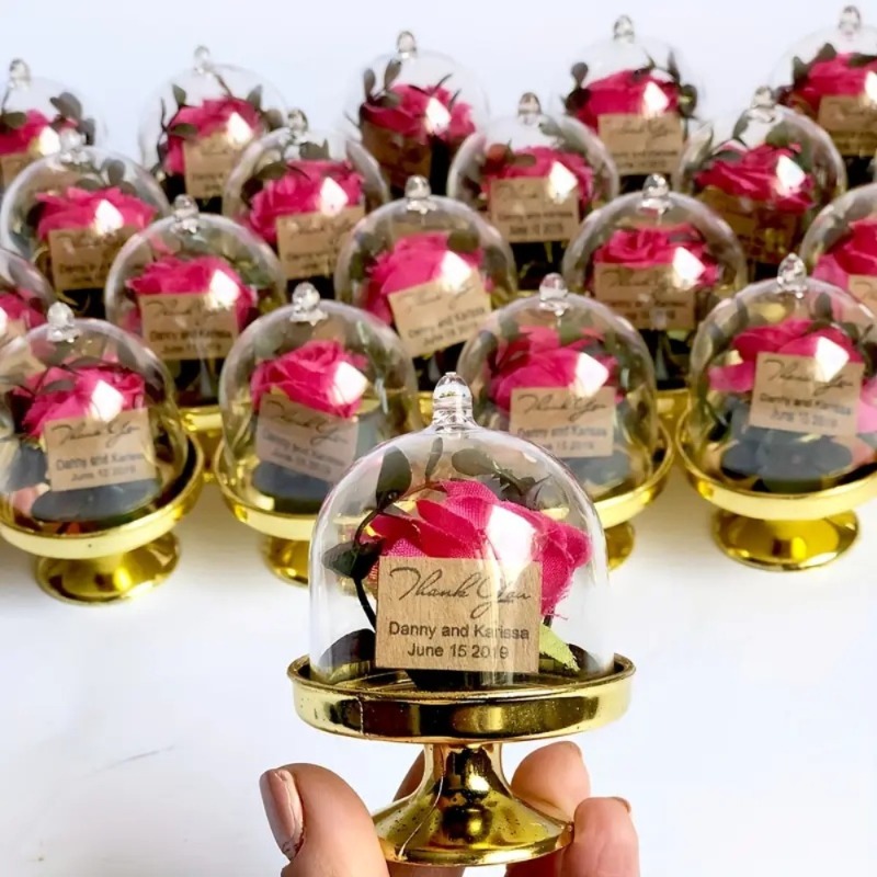 24 шт. мини-пластиковые коробо – обзор и цена Wedding/Event Supply Store