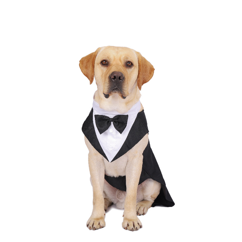 Одежда для собак, модный празд – обзор и цена Suitsupply Wedding Tuxedo