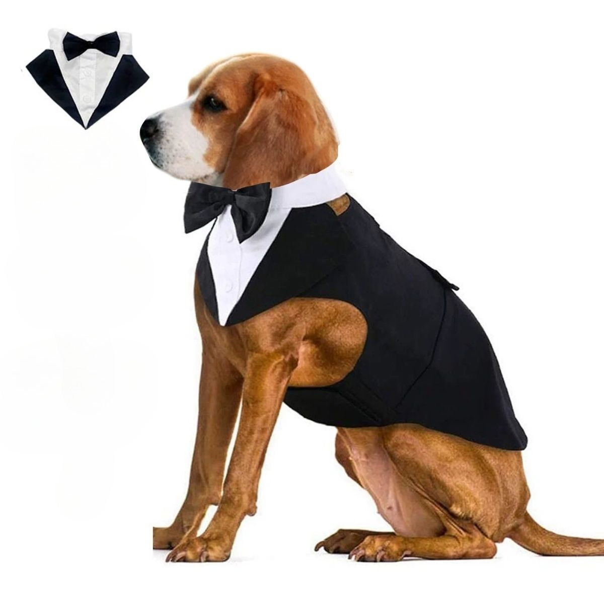Одежда для собак: модный празд – обзор и цена Suitsupply Wedding Tuxedo