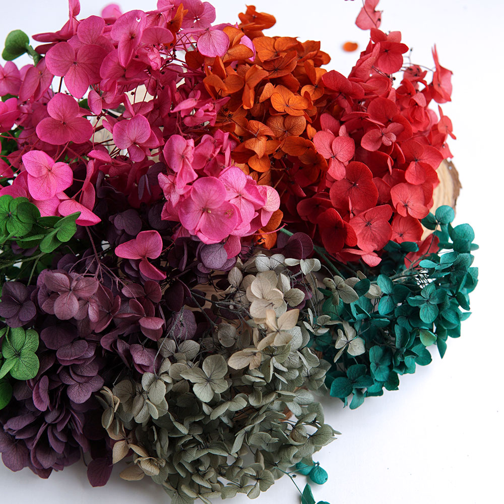Сухоцветы гортензии оптом, цве – обзор и цена Wedding Supply In Bulk